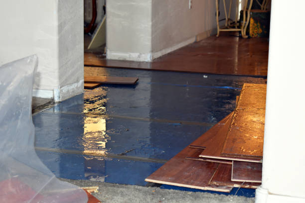 Professional Basement Water Removal technician working in Woodside, CA